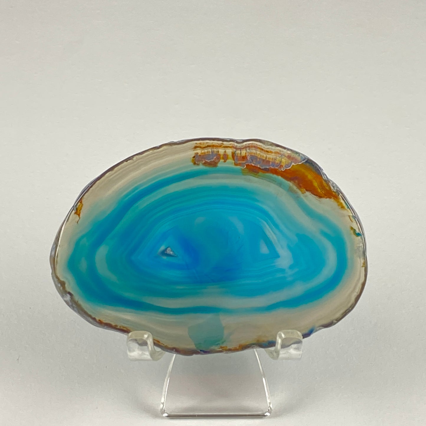 Agate Slice #32 - Dyed