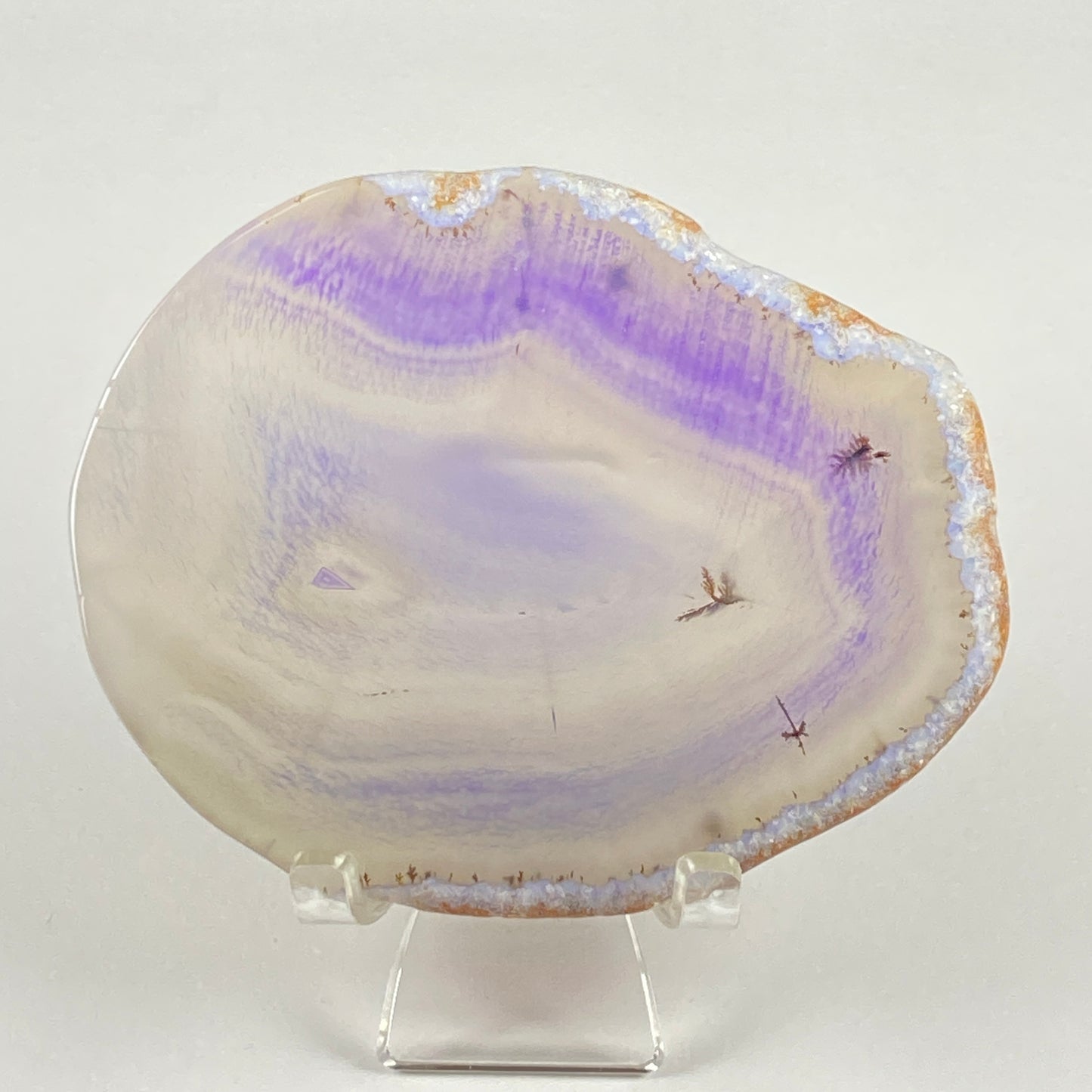 Agate Slice #55 - Dyed
