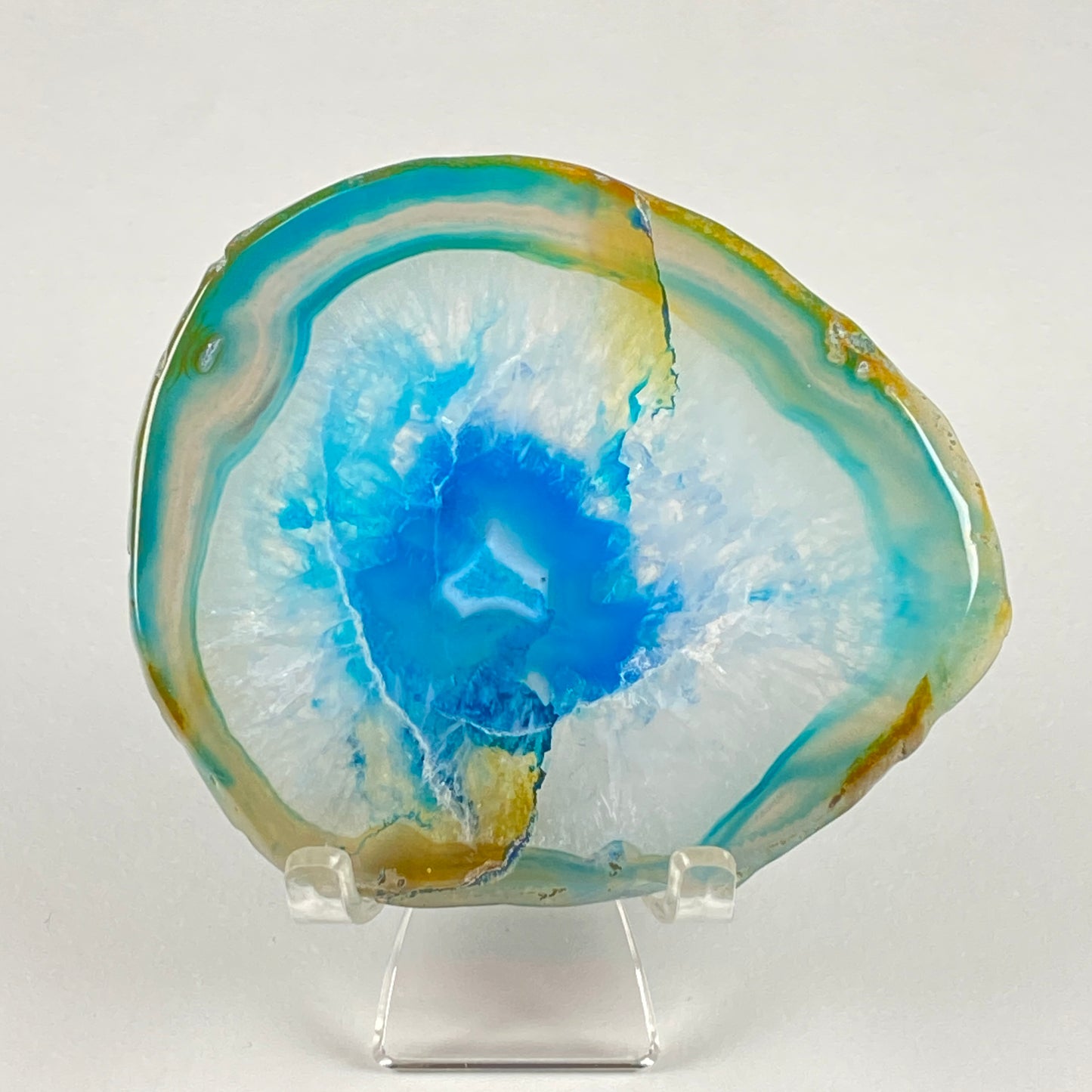 Agate Slice #66 - Dyed
