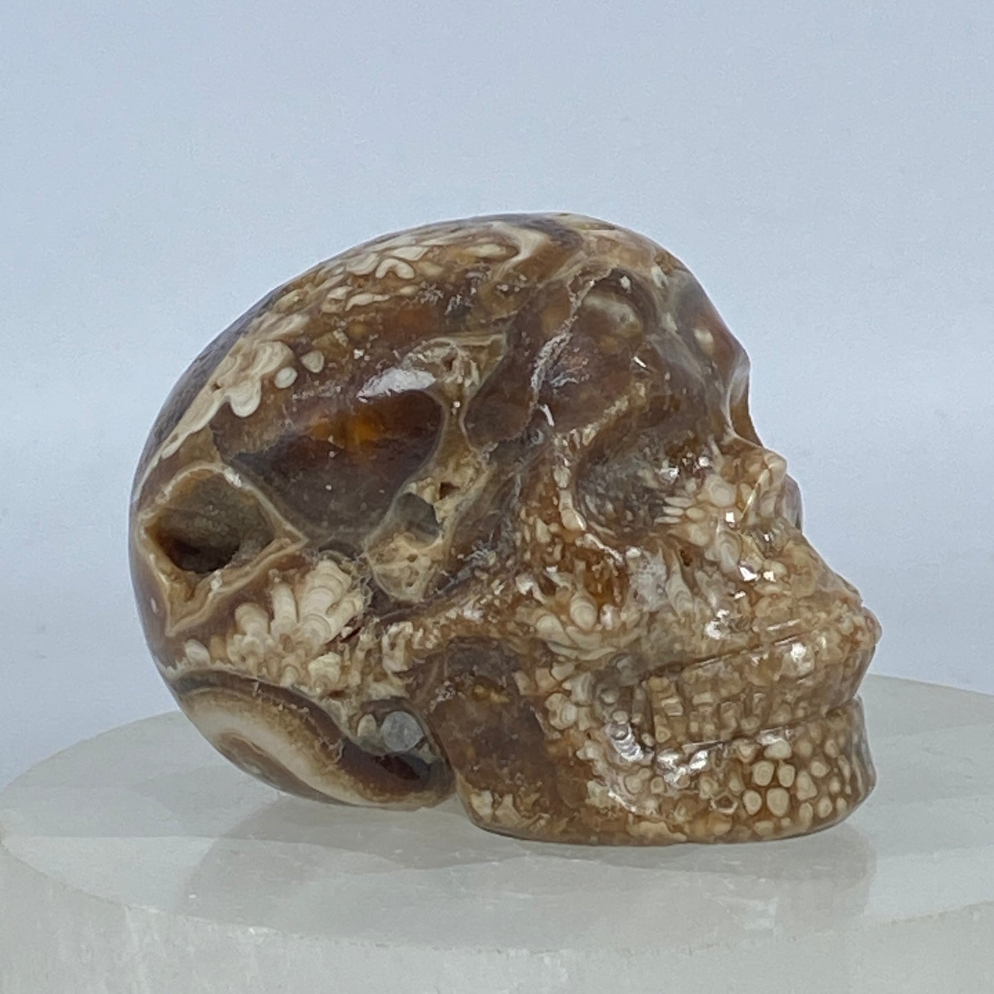 Druzy Chocolate Calcite Skull