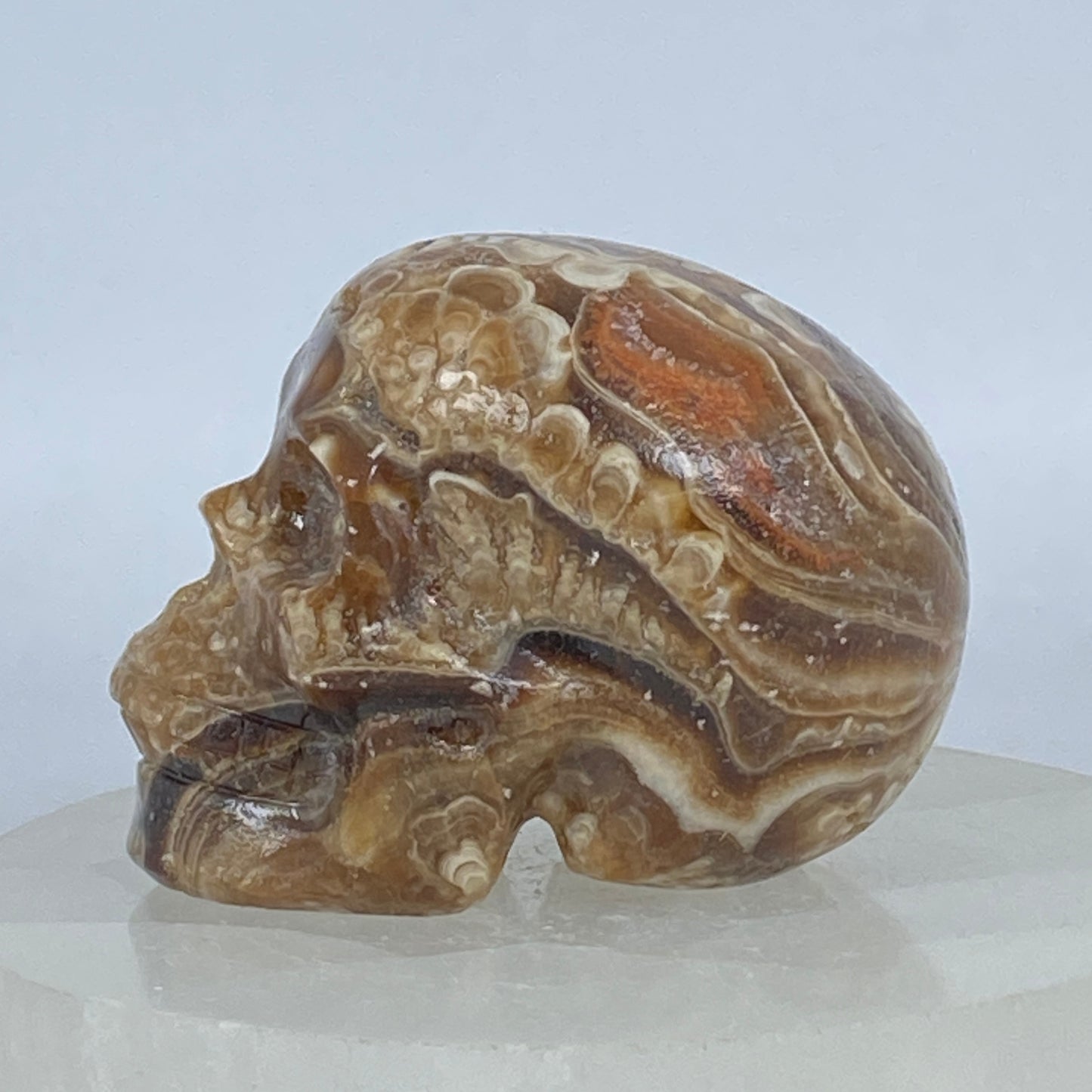 Druzy Chocolate Calcite Skull