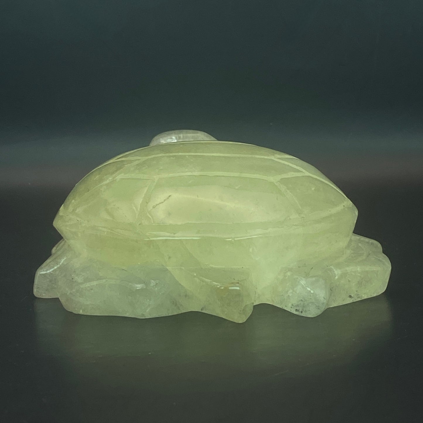 Citrine Turtle - Large