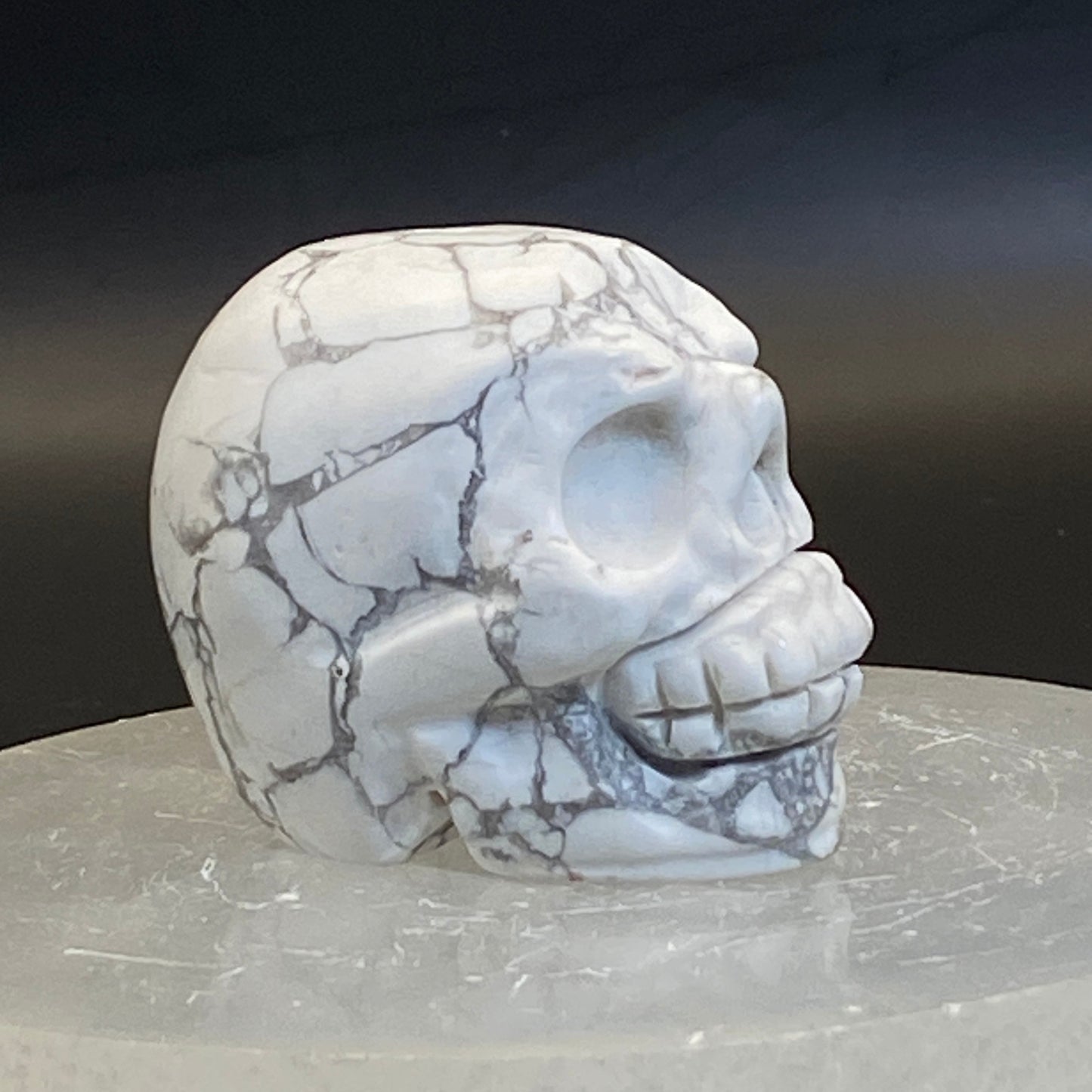 Howlite Skull #3