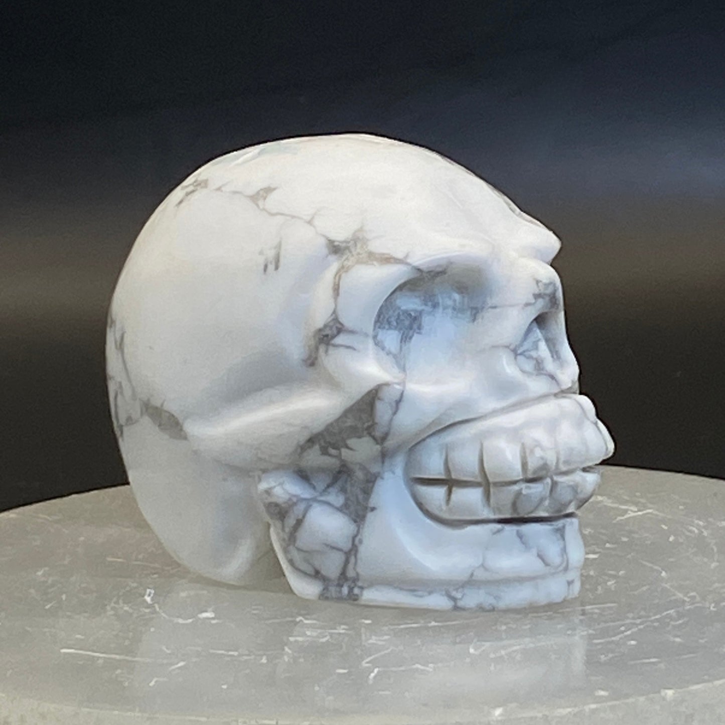 Howlite Skull #4