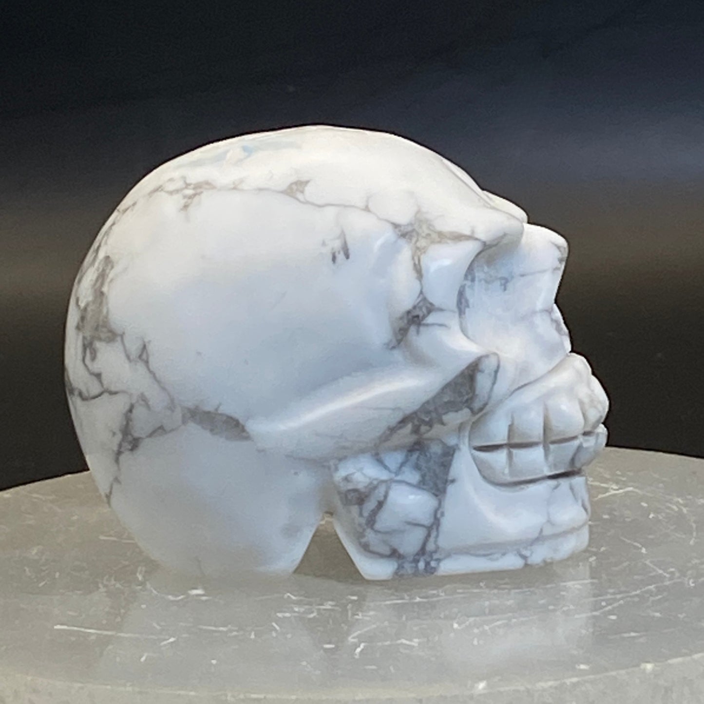 Howlite Skull #4
