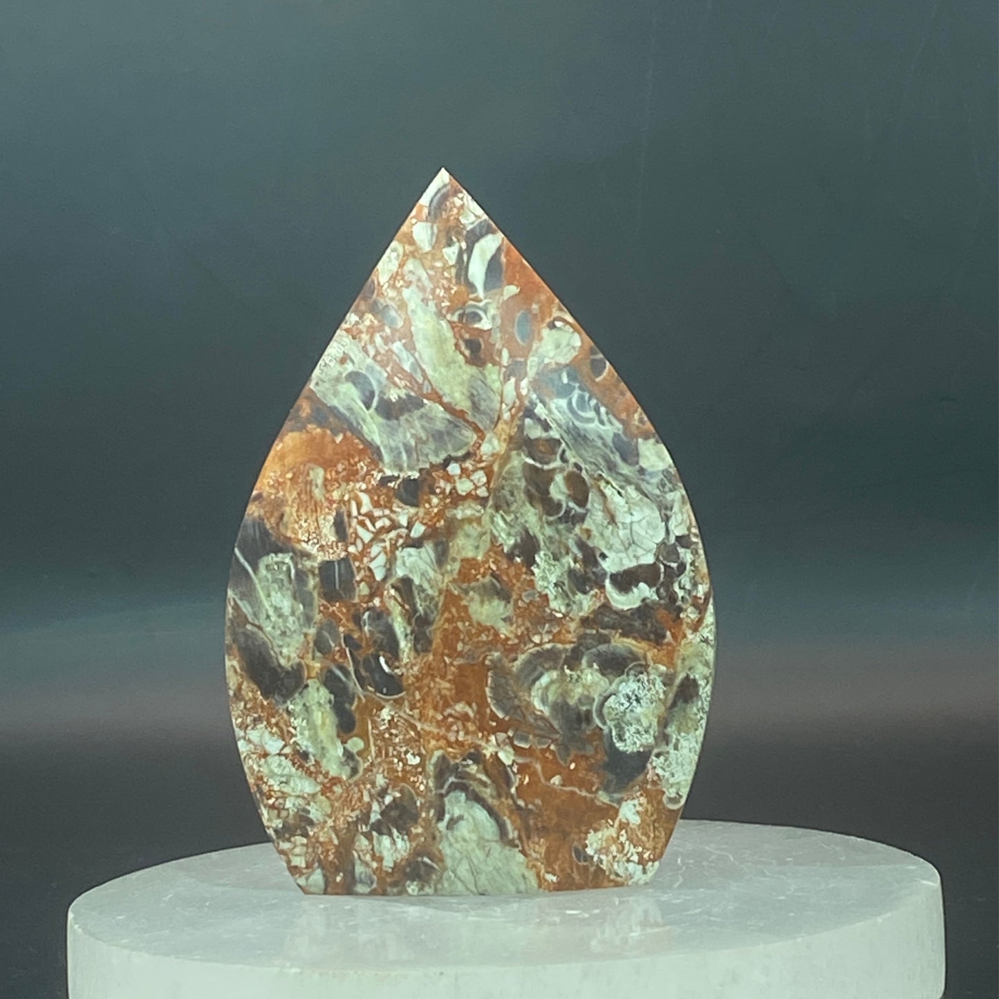 Money Agate Freeform #1