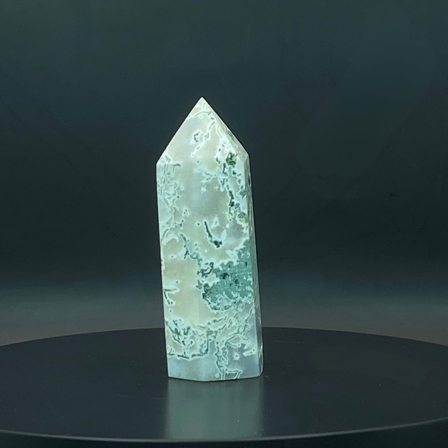 Moss Agate Point #2