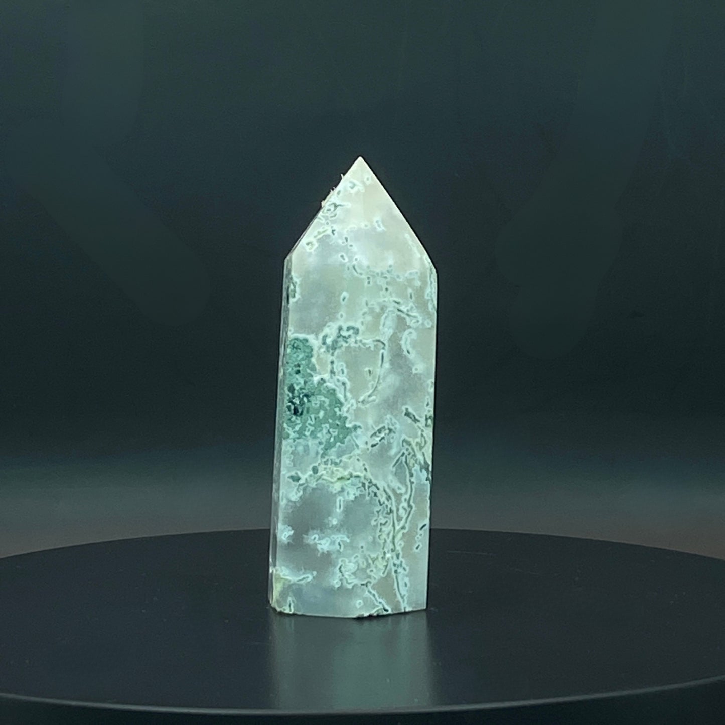 Moss Agate Point #2