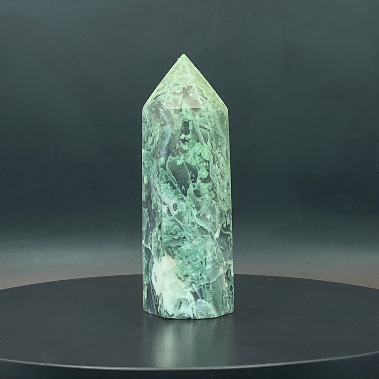 Moss Agate Point #5
