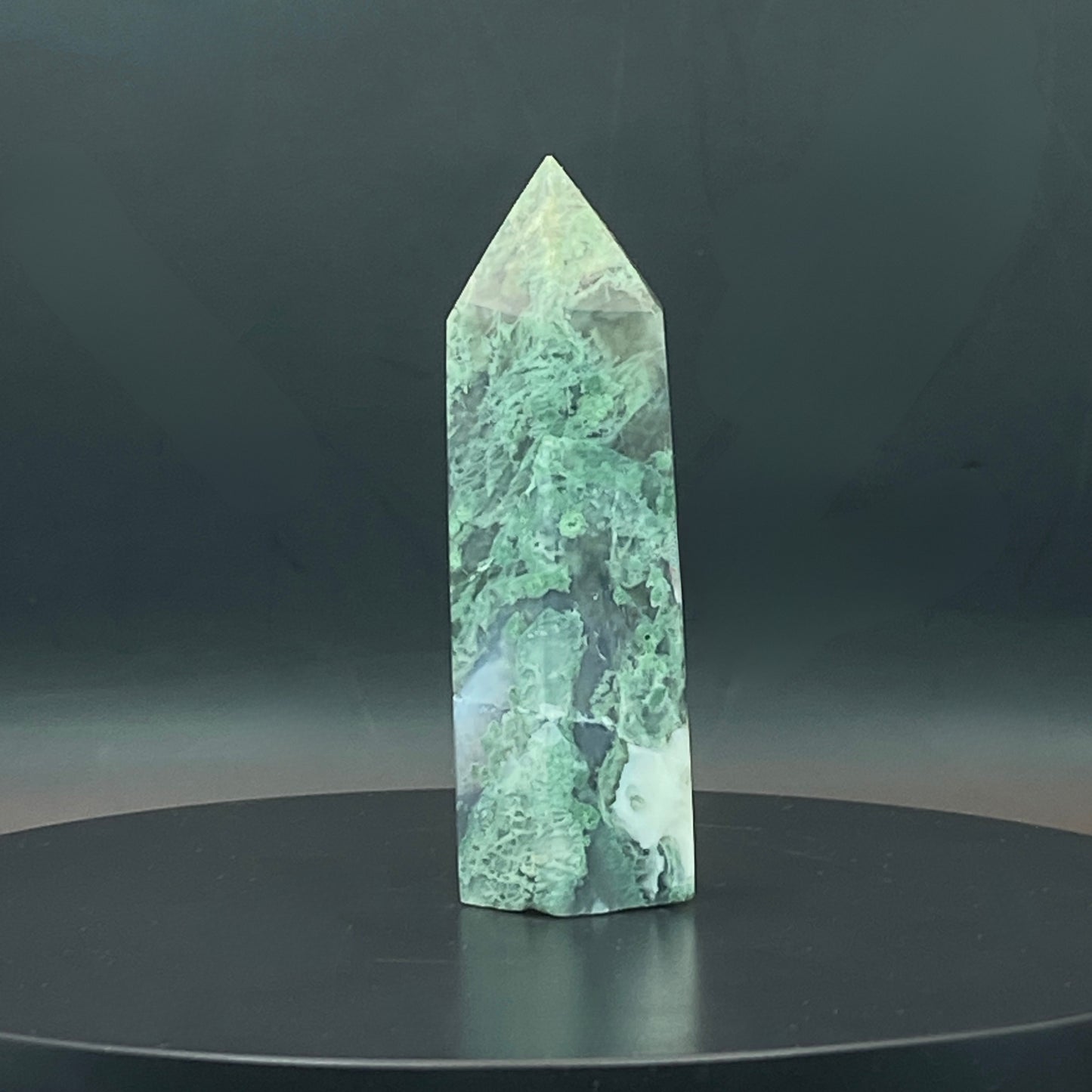 Moss Agate Point #5