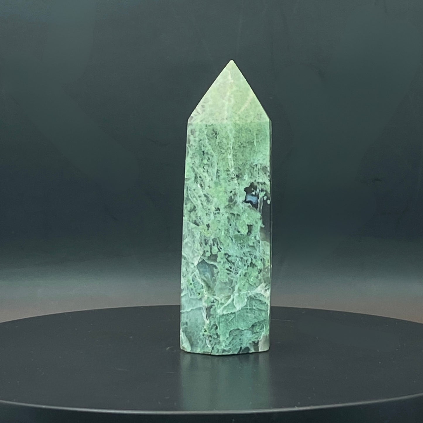 Moss Agate Point #5