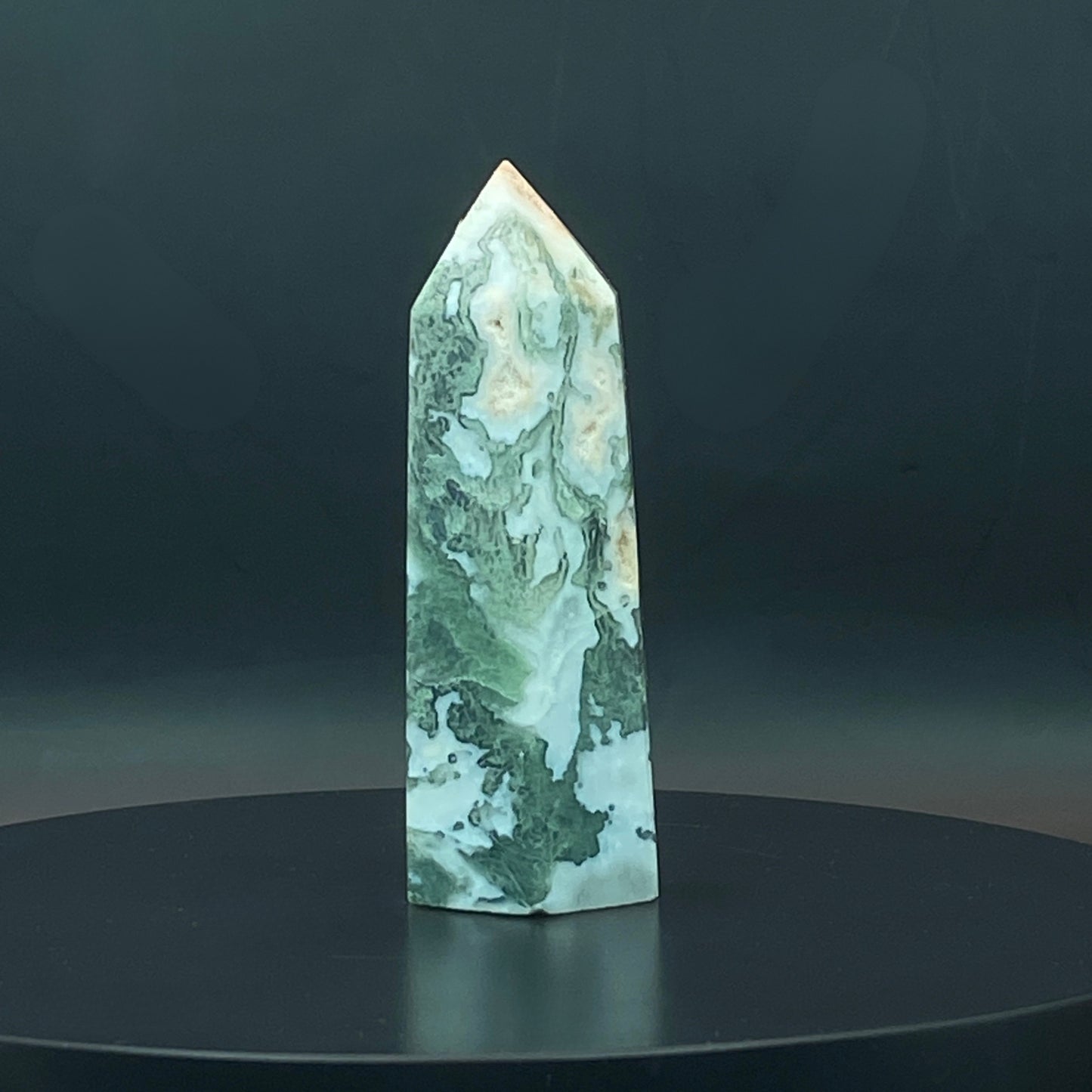 Moss Agate Point #6