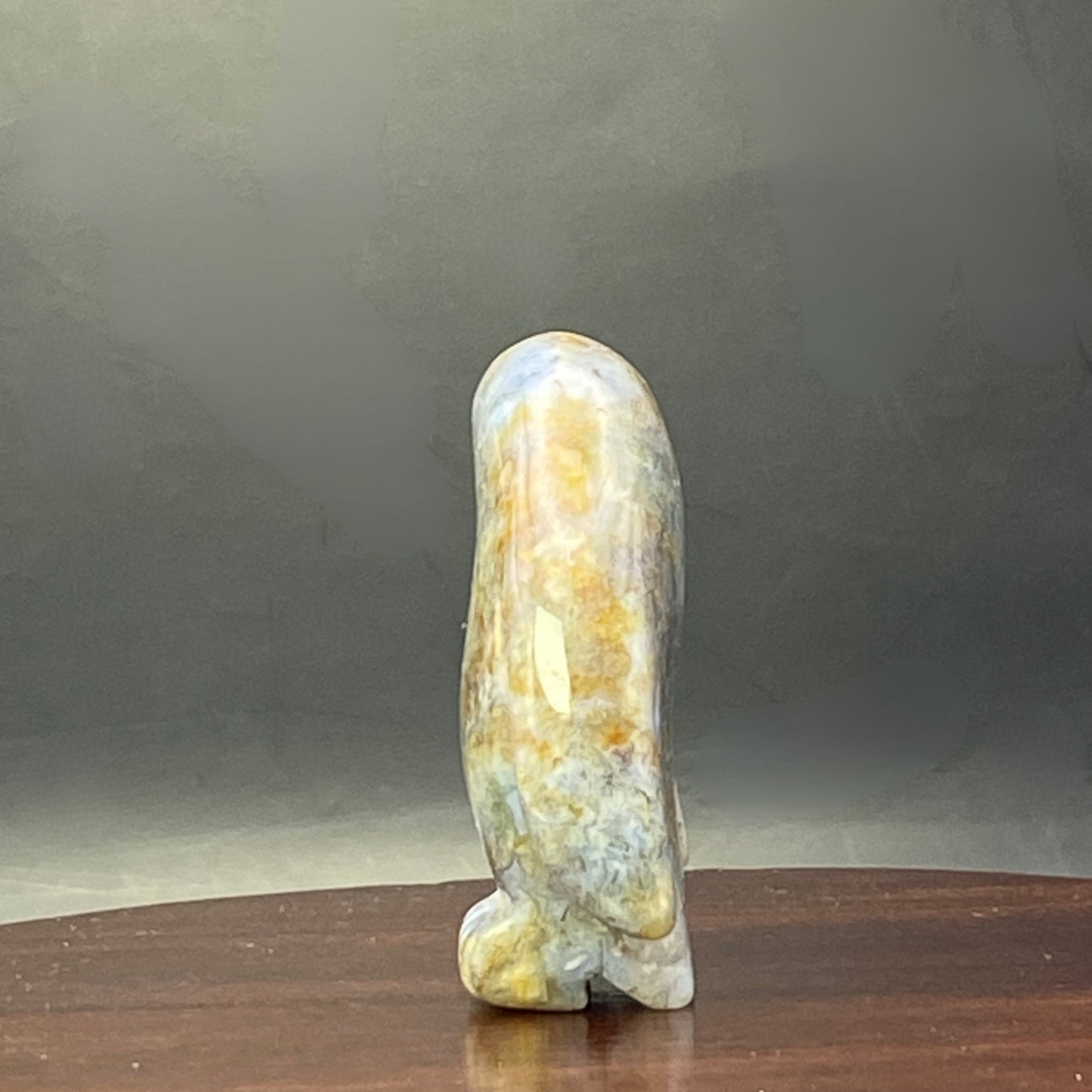 Ocean Jasper Penguin