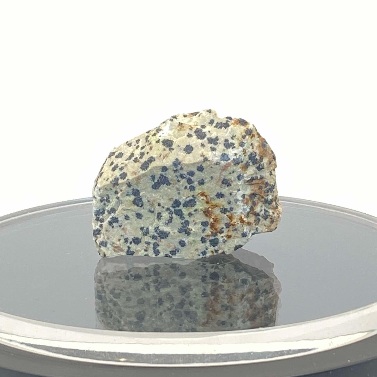 Dalmatian Jasper Rough