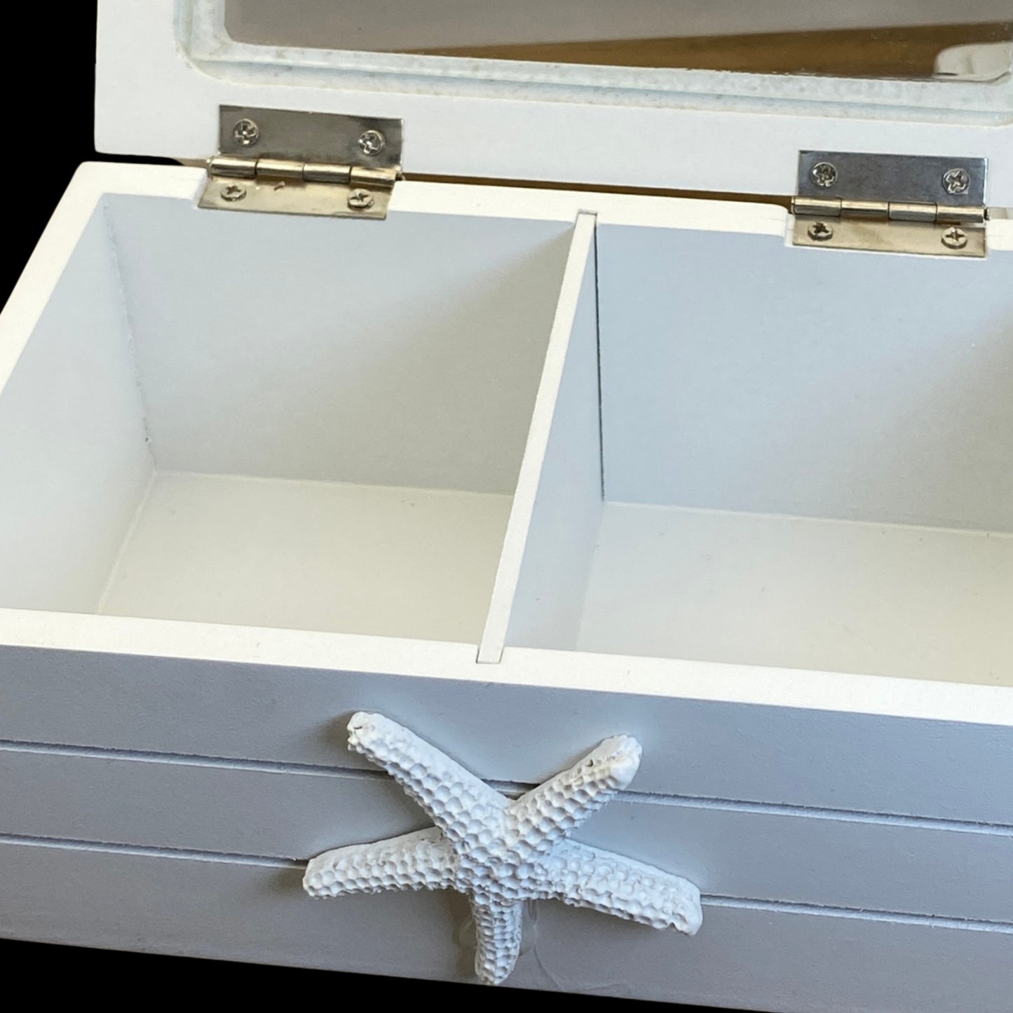 Starfish Box/Tea Caddy
