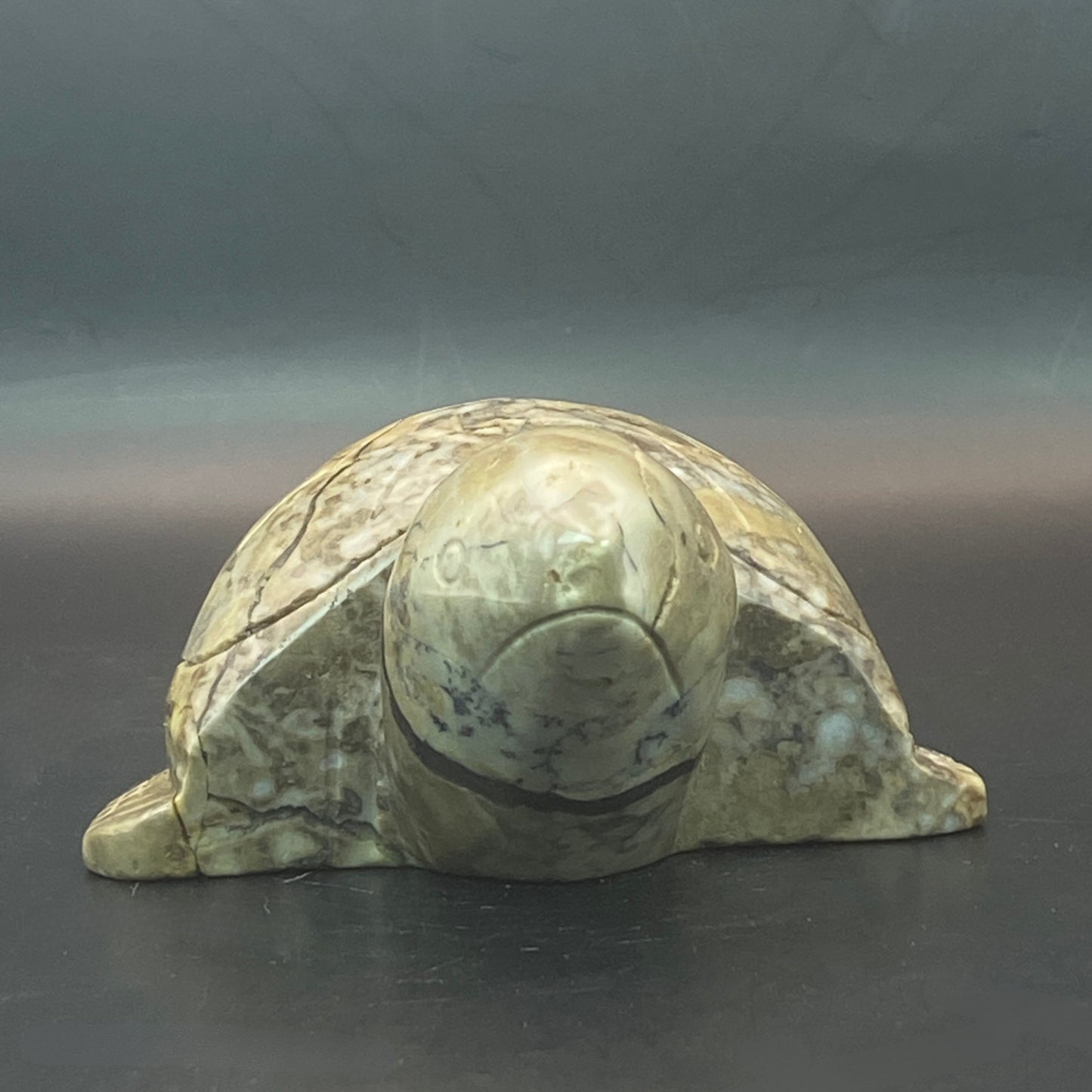 Volcano Agate Turtle #1 - Large