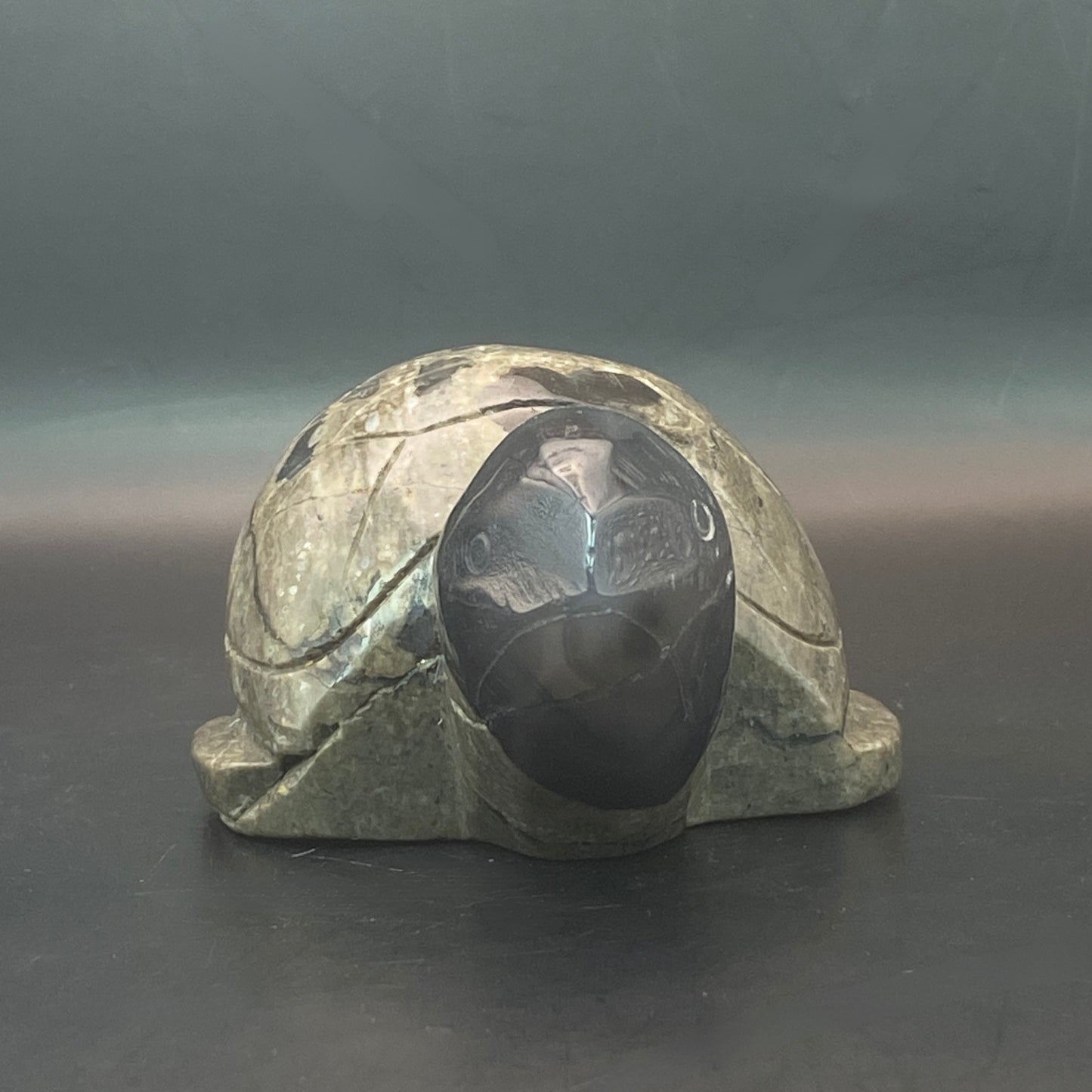 Volcano Agate Turtle #2 - Large