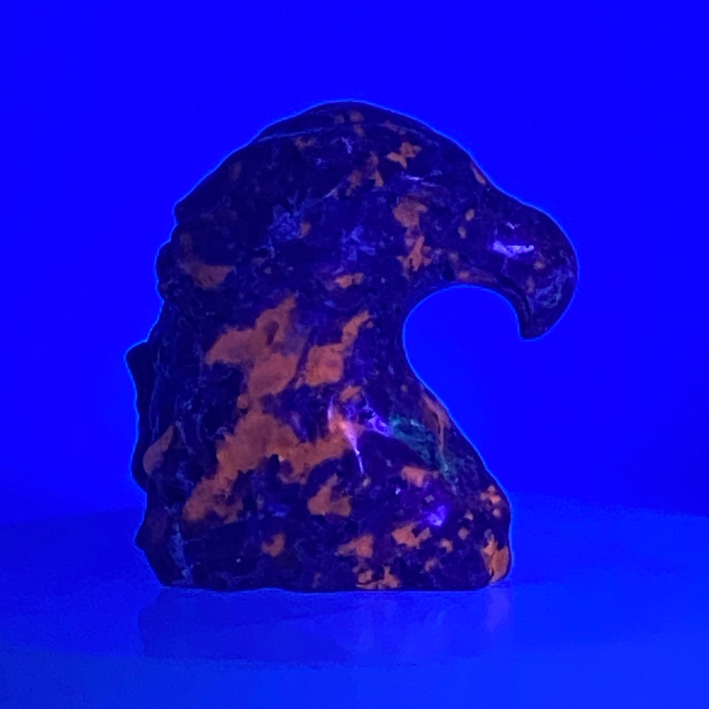 Yooperlite Eagle Head #1