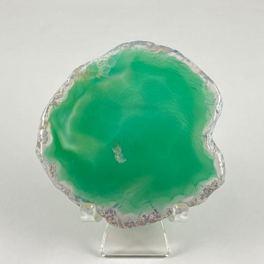Agate Slice #43 - Dyed