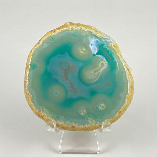 Agate Slice #44 - Dyed