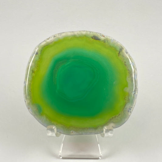 Agate Slice #45 - Dyed