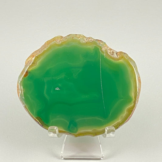 Agate Slice #47 - Dyed