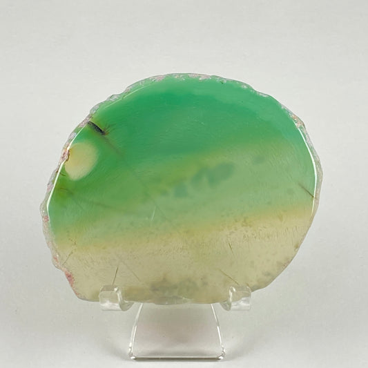 Agate Slice #48 - Dyed