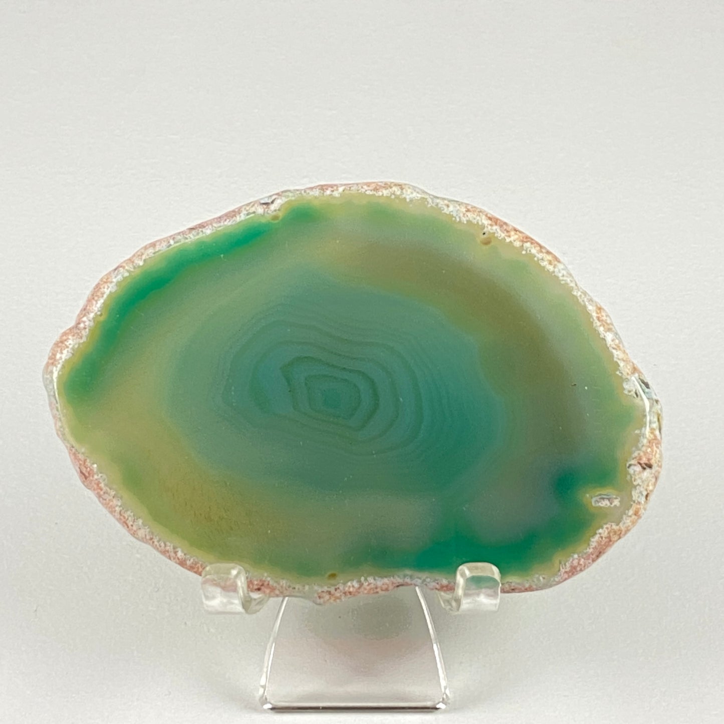 Agate Slice #97 - Dyed