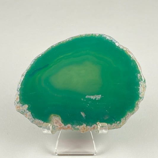 Agate Slice #98 - Dyed