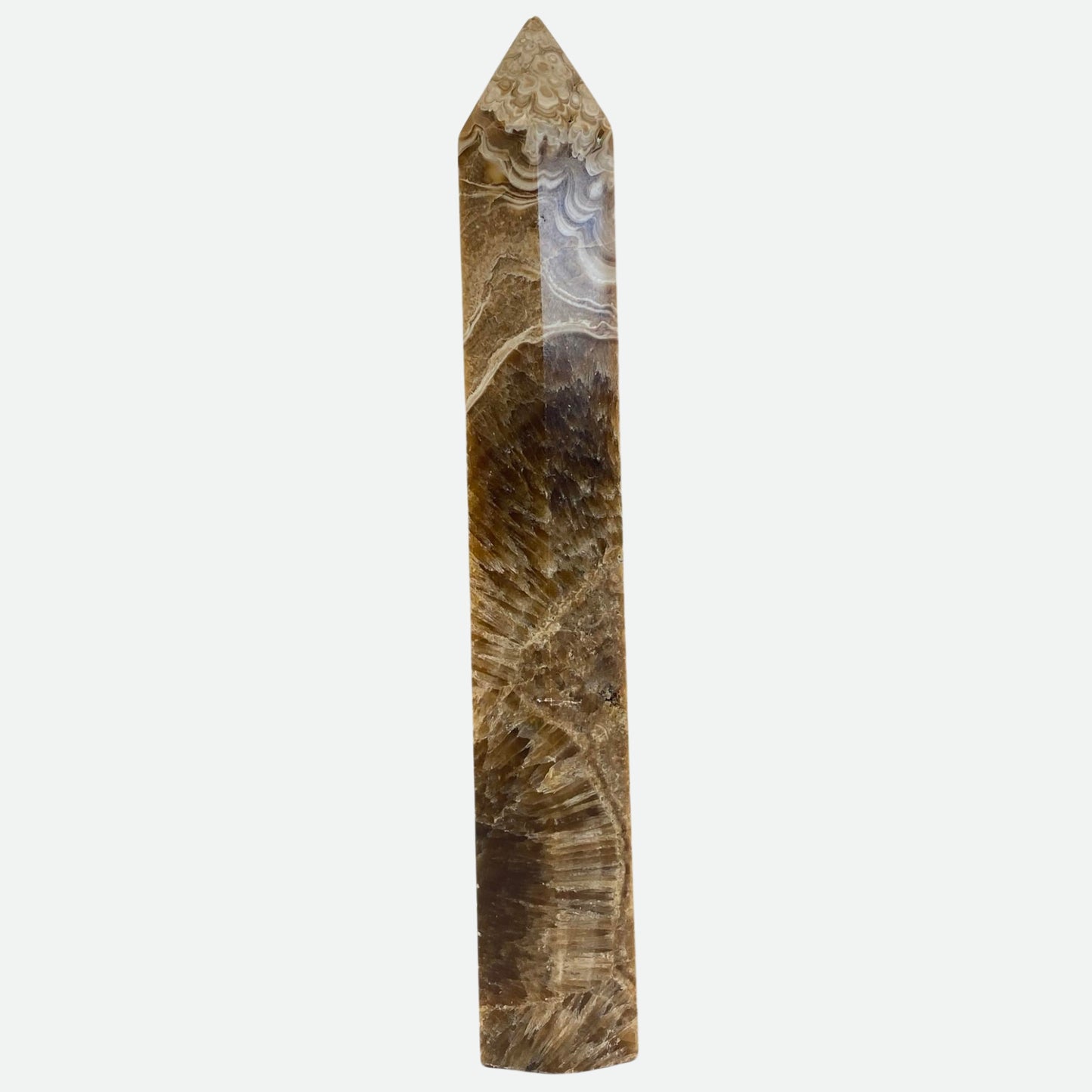 HUGE Chocolate Calcite Tower - Room 2 - 27.5cm