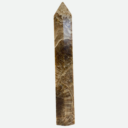 HUGE Chocolate Calcite Tower - Room 2 - 27.5cm