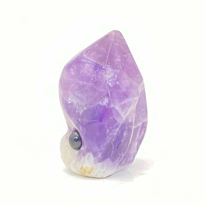 Amethyst Cluster Pet Rock #1