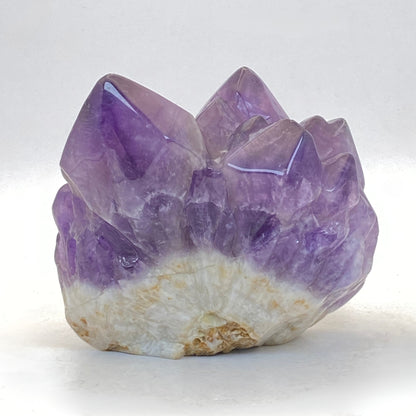 Amethyst Cluster Pet Rock #3 - LARGE