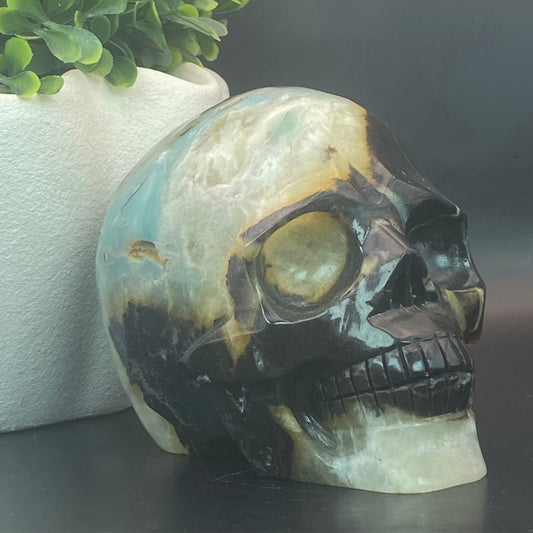 Caribbean Calcite Skull - Over 1kg!