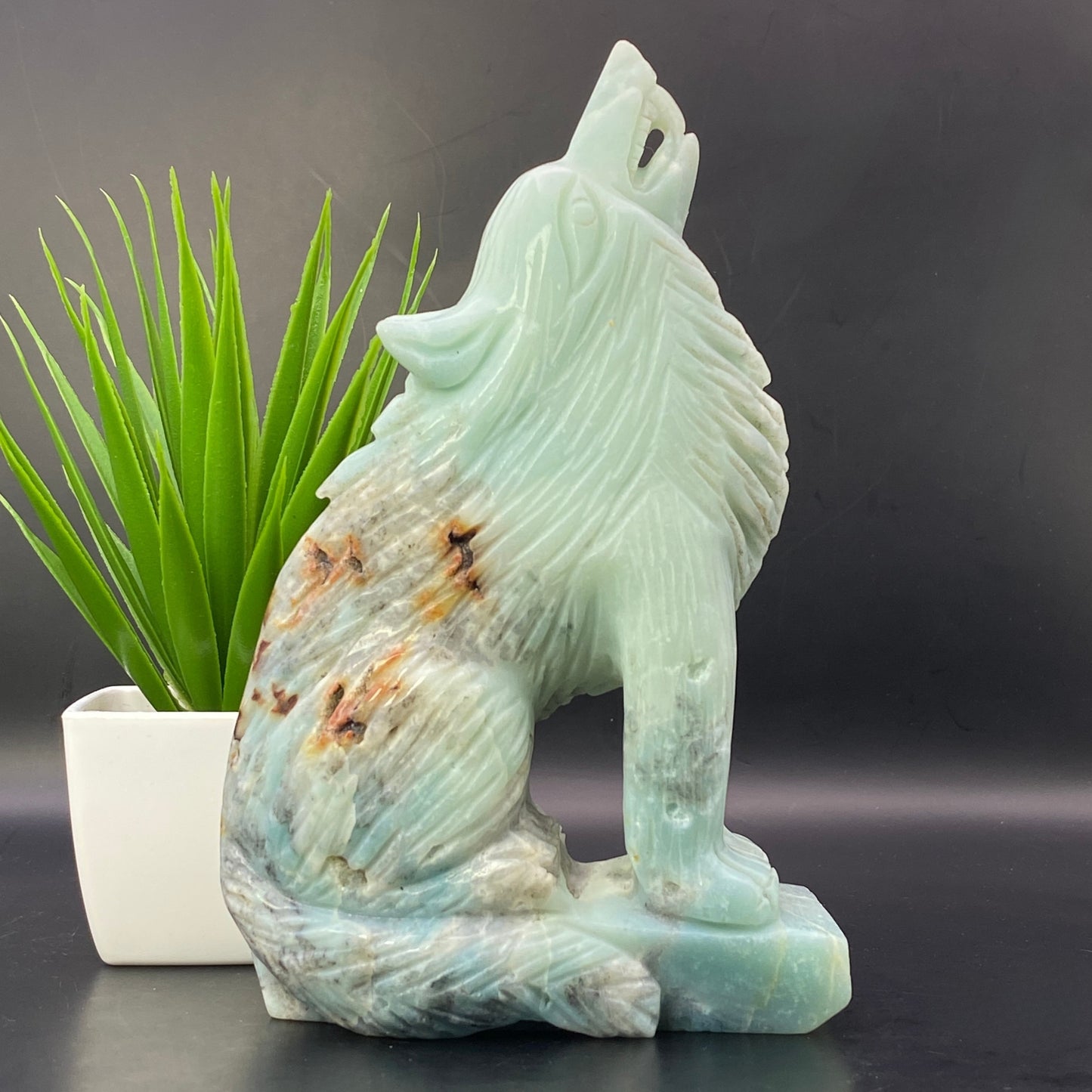 HUGE Caribbean Calcite Wolf - OVER 1KG!