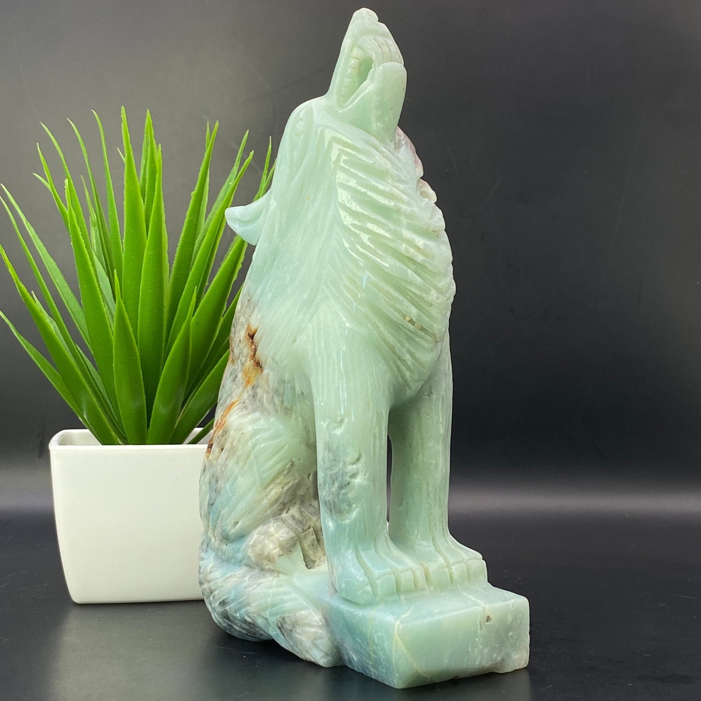 HUGE Caribbean Calcite Wolf - OVER 1KG!