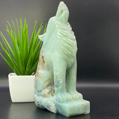 HUGE Caribbean Calcite Wolf - OVER 1KG!