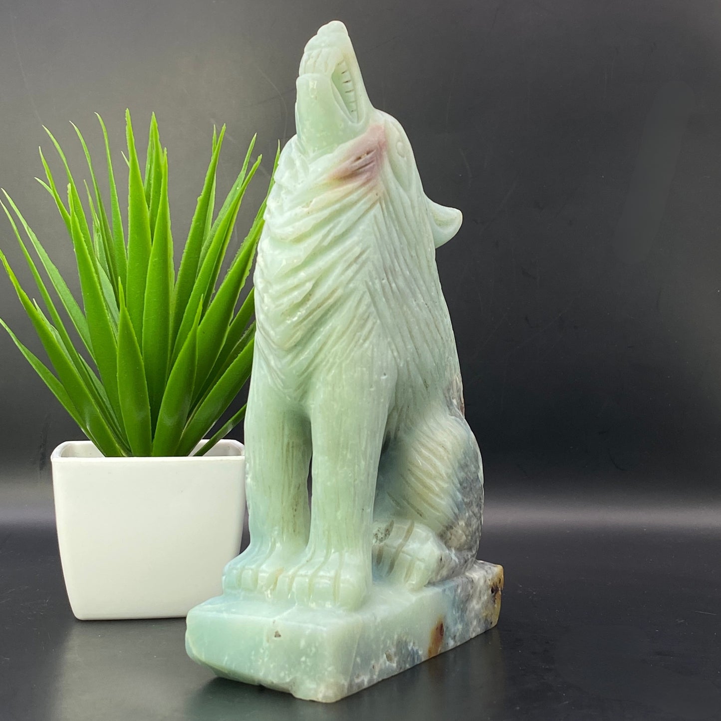 HUGE Caribbean Calcite Wolf - OVER 1KG!