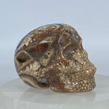 Druzy Chocolate Calcite Skull