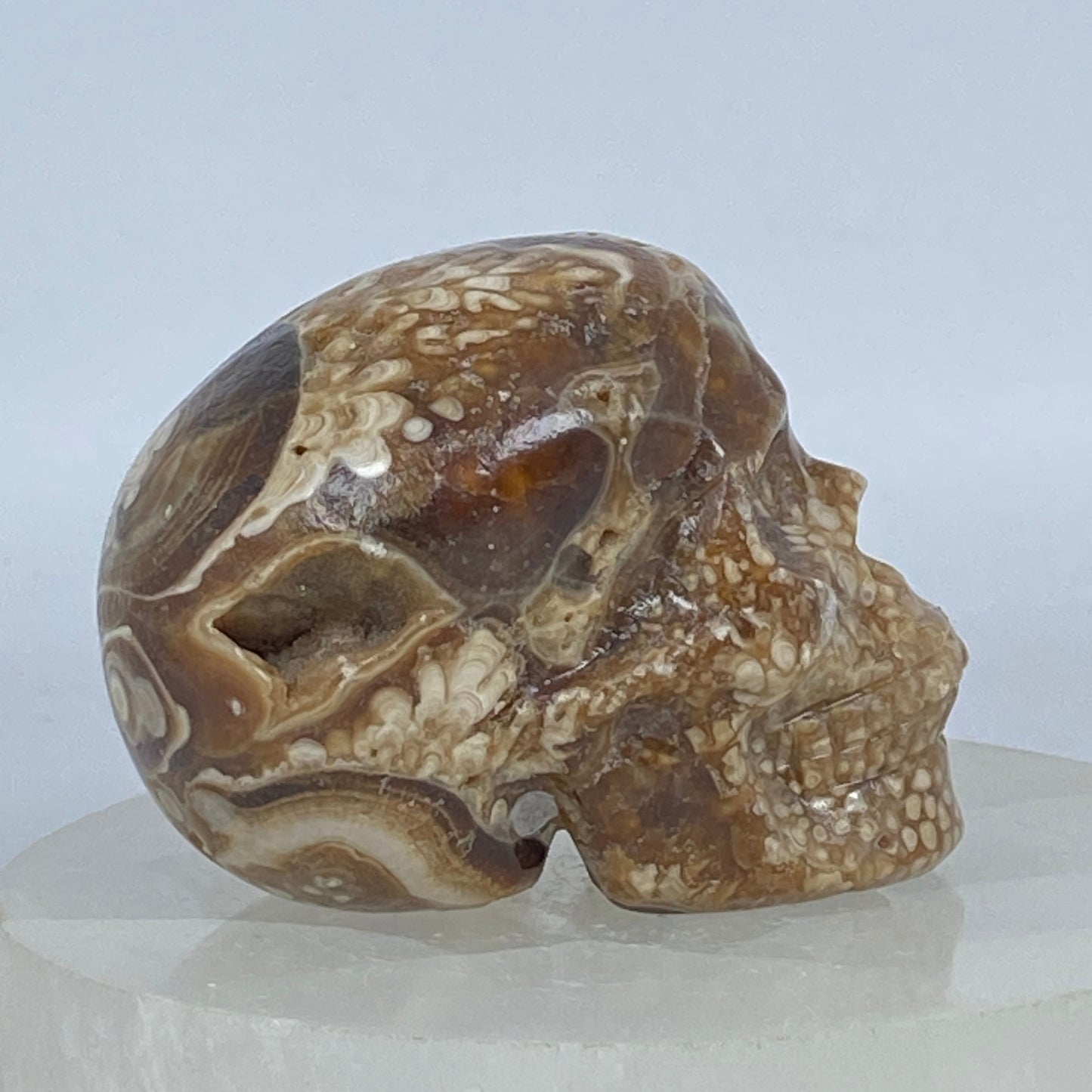 Druzy Chocolate Calcite Skull