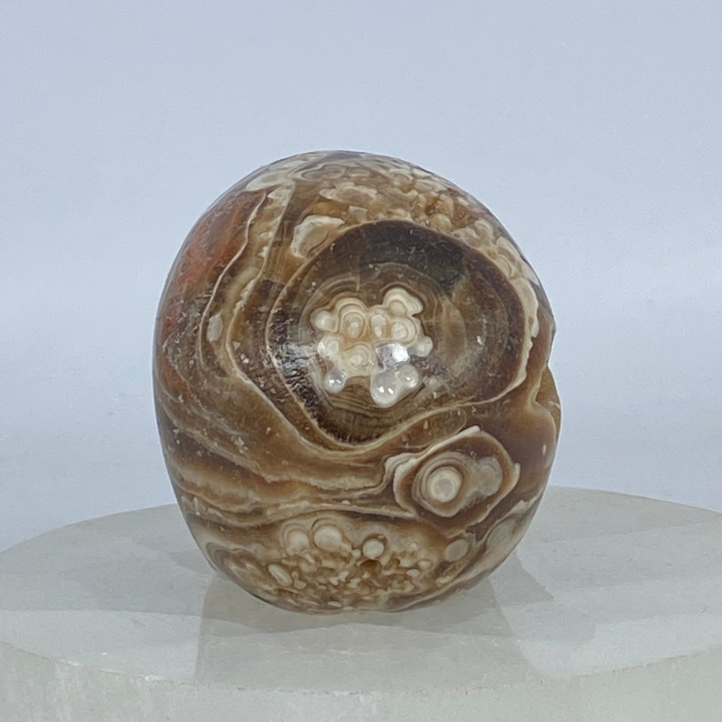 Druzy Chocolate Calcite Skull