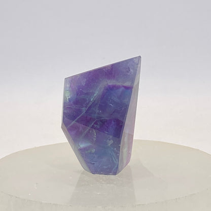 Fluorite Freeform #12 - Small