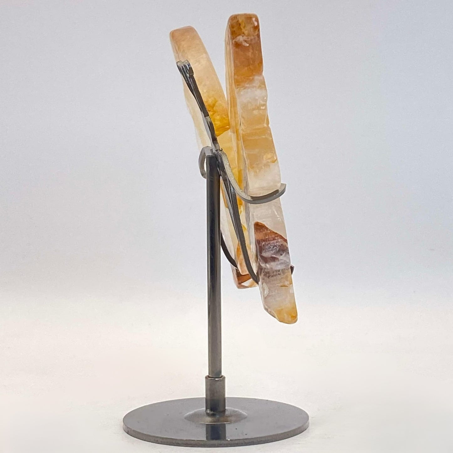 Golden Healer Butterfly Wings on Stand #2 - Medium