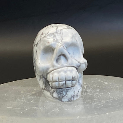 Howlite Skull #3