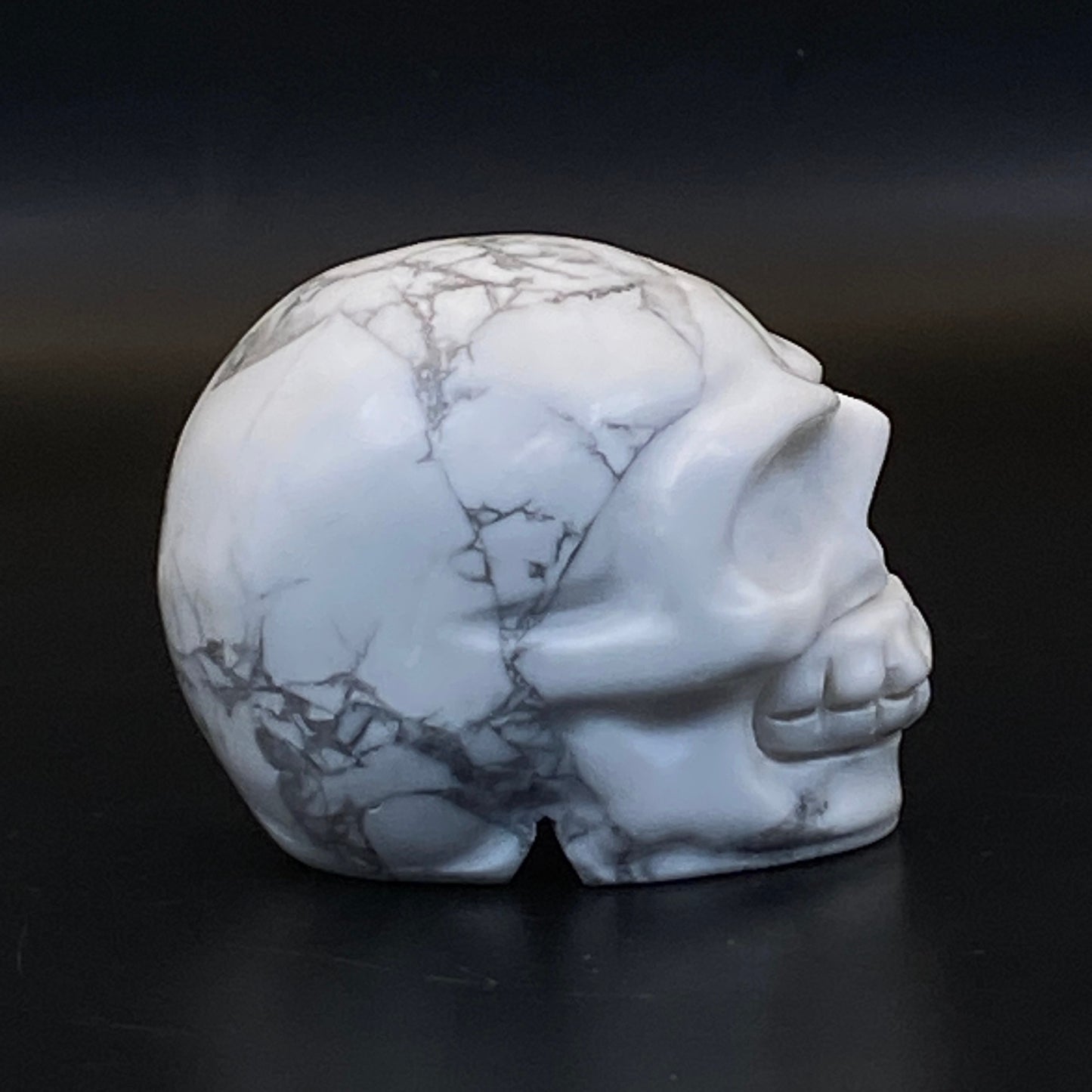 Howlite Skull #1