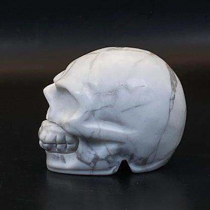 Howlite Skull #1