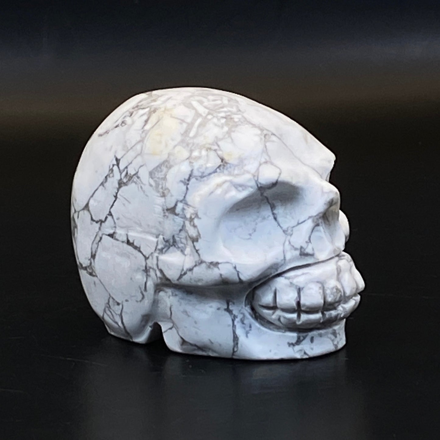 Howlite Skull #2