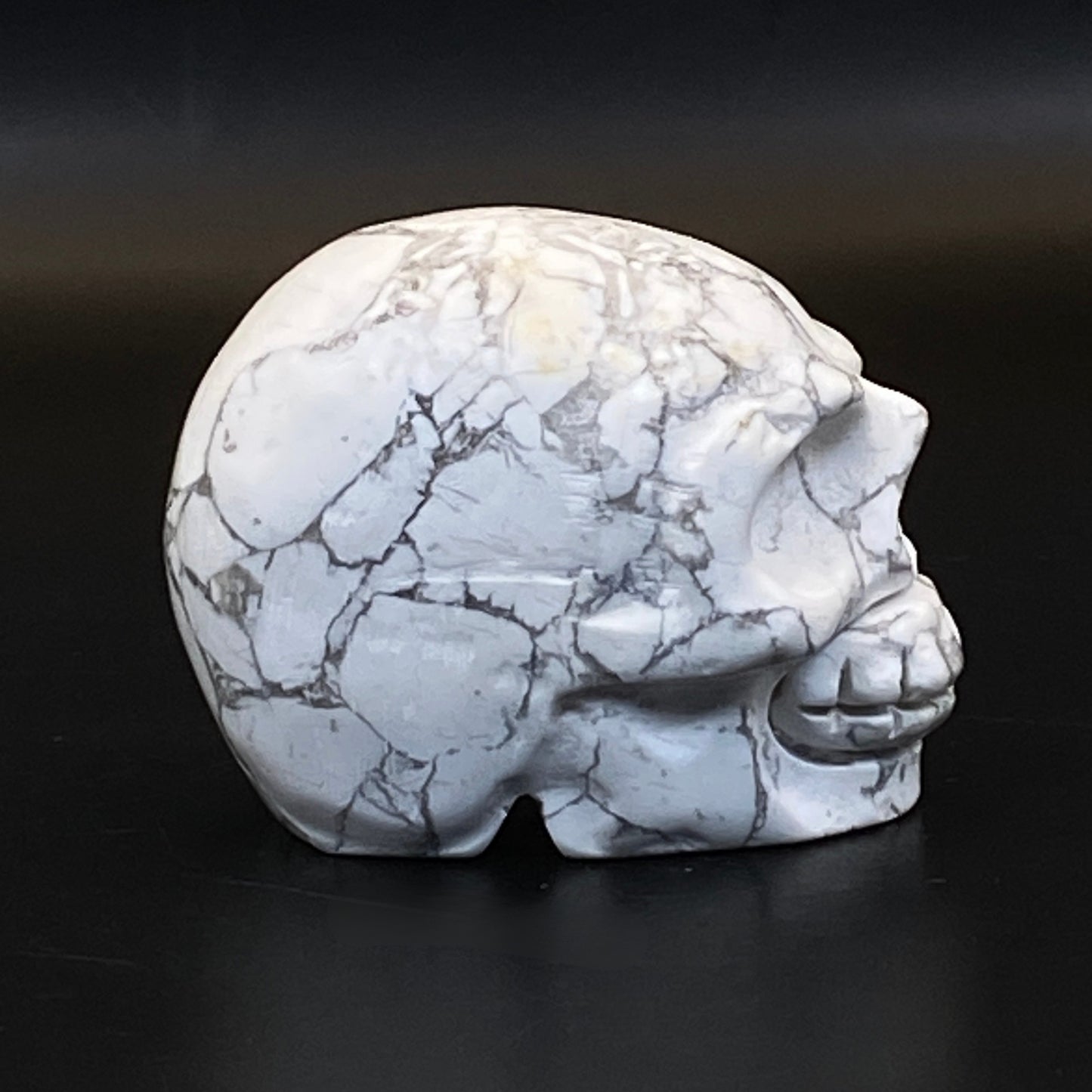 Howlite Skull #2