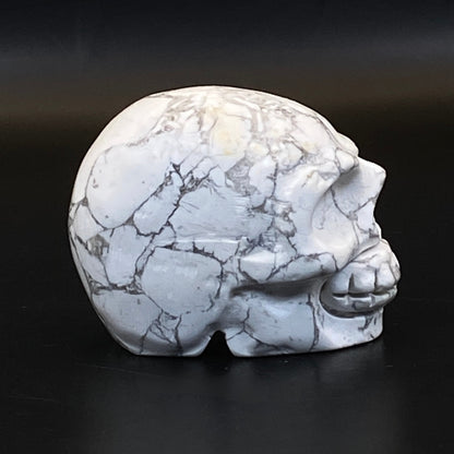 Howlite Skull #2