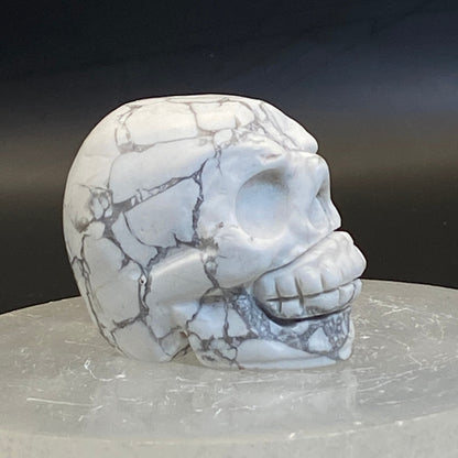 Howlite Skull #3